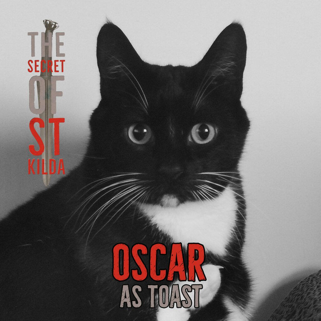 Oscar as Toast. Headshot of a black cat with white fur on his chest and big round eyes looking straight at the camera